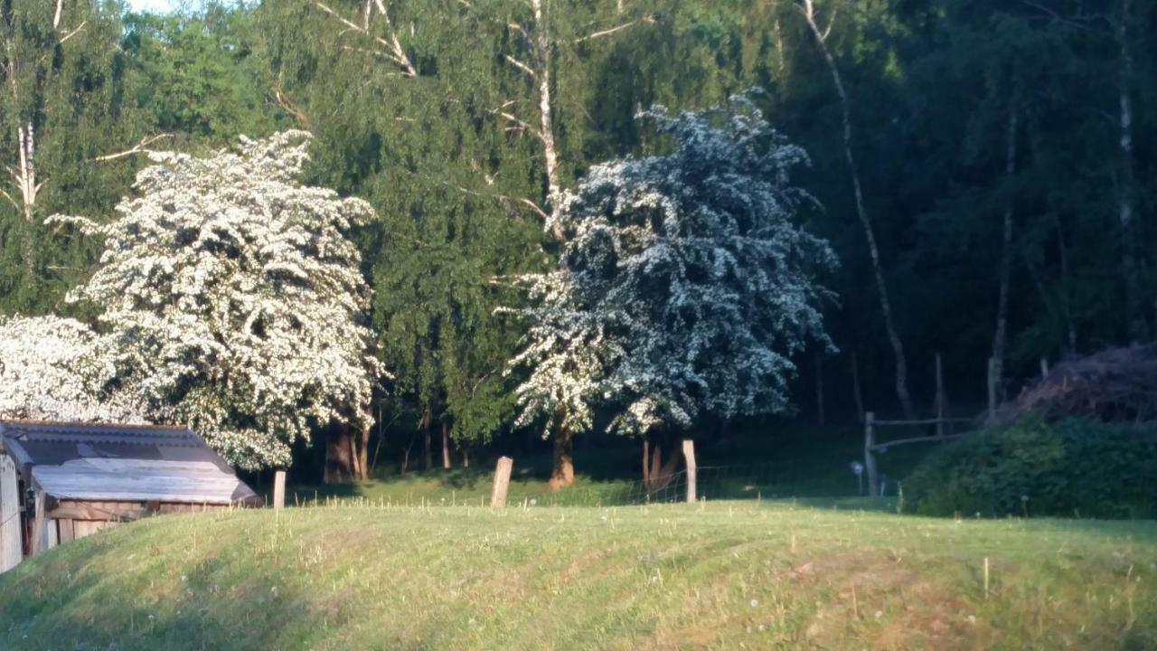 Zimmervermietung Am Holzberg Thallwitz Exterior photo